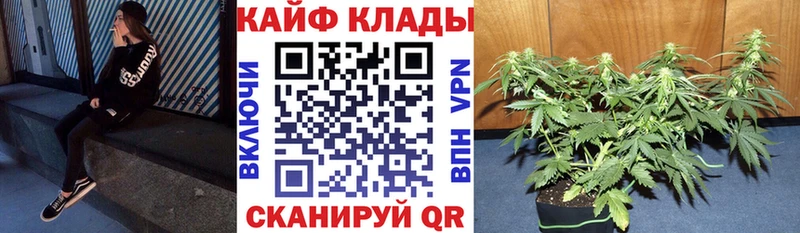 Где можно купить наркотики Данилов СК  Кокаин  блэк спрут зеркало  Конопля  ГАШ 
