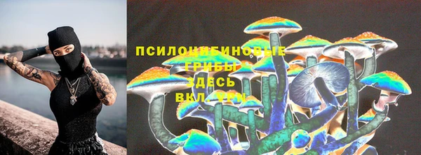 мдпв Абаза