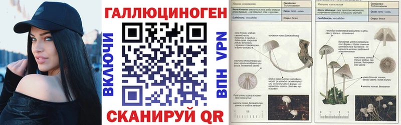 Псилоцибиновые грибы прущие грибы Данилов