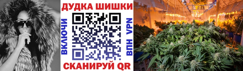 Бошки марихуана гибрид  Данилов 
